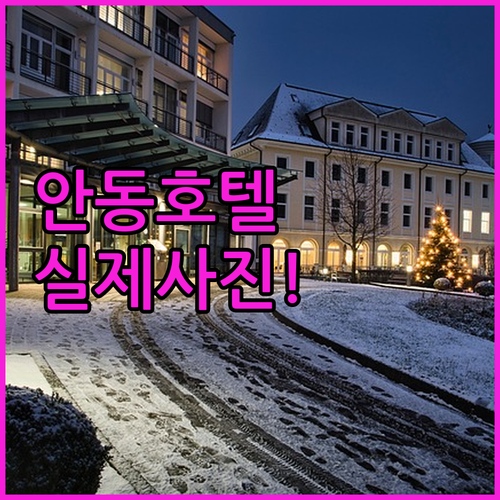 직접 확인한 안동 주요 호텔 4곳 객..