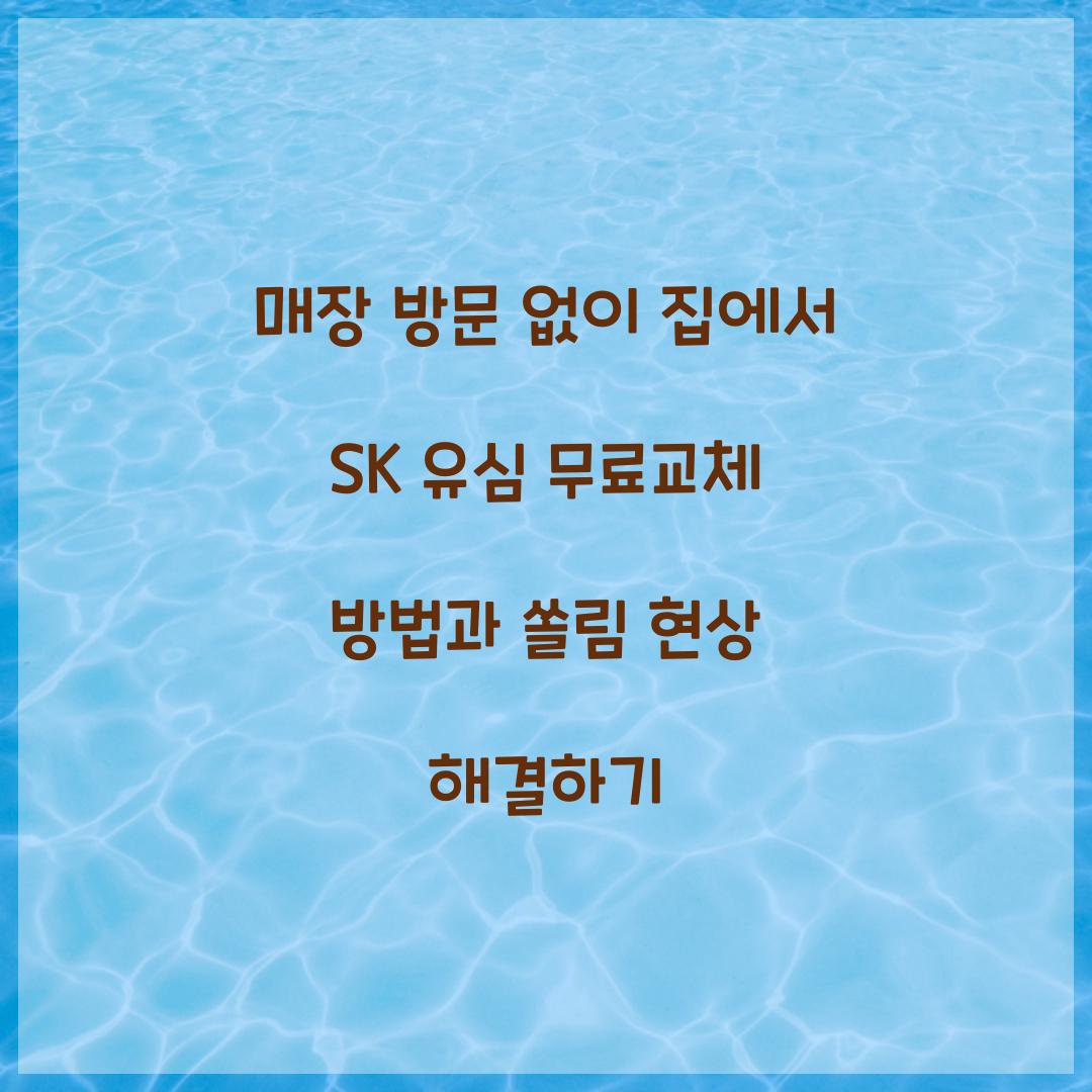 매장 방문 없이 집에서 SK 유심 무료교체하는 방법