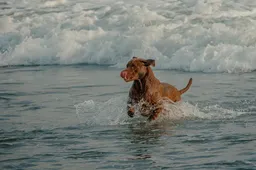 2025 여름 해수욕장 개장 일정 야간 조명 이벤트