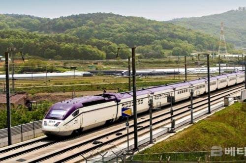 반려동물과 함께하는 대중교통