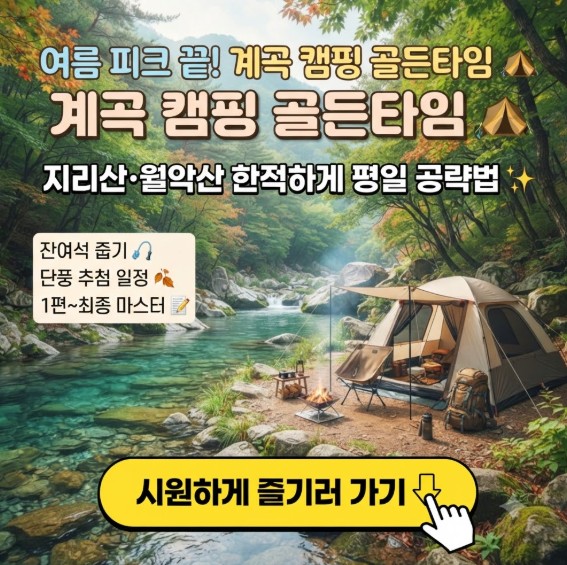 국립공원야영장 잔여석 줍줍