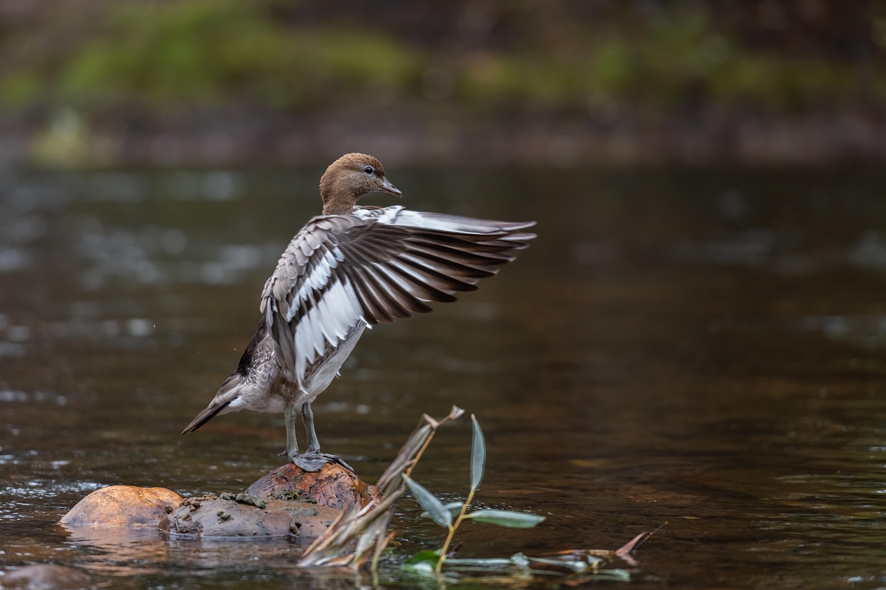 부동산 중개수수료