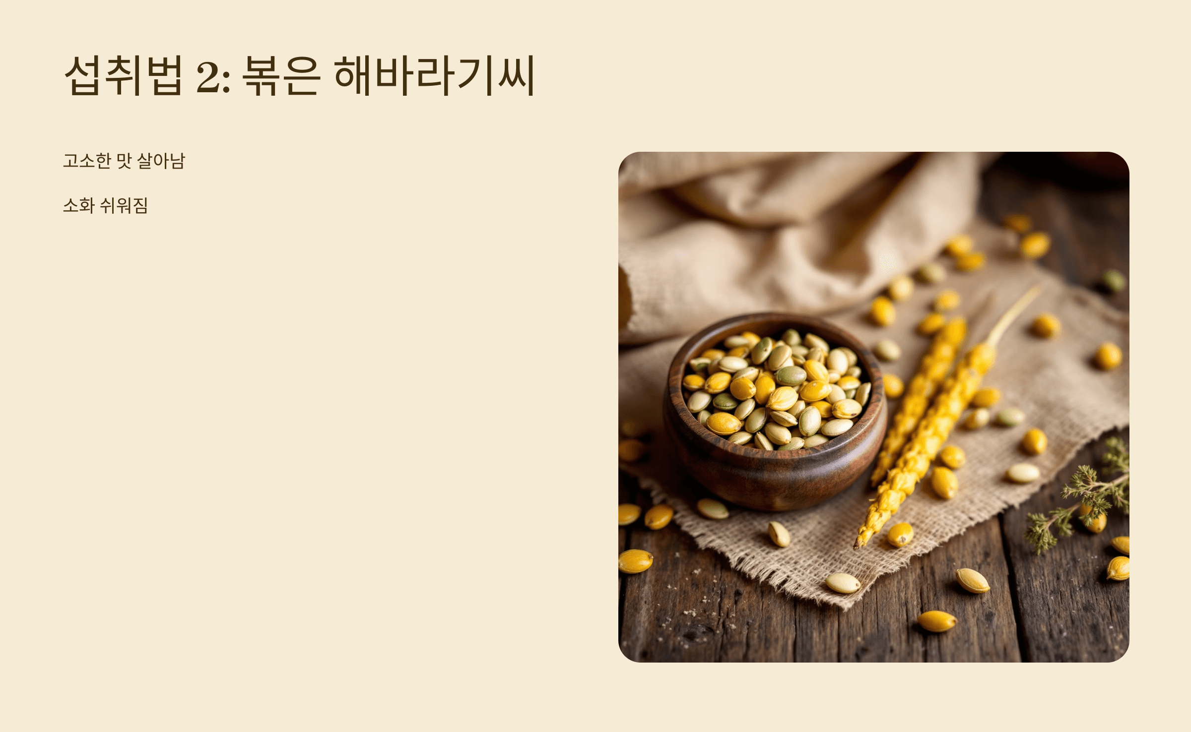 해바라기씨 사진입니다.