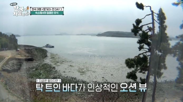 어서와-한국은-처음이지-헝가리-여수-오션뷰-호텔