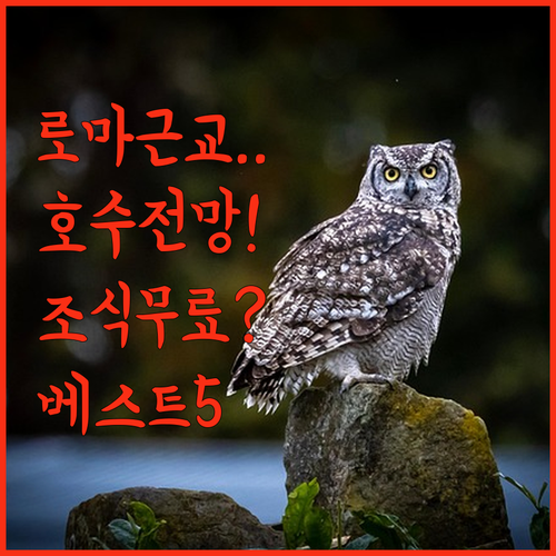 로마 근교 카스텔간돌포 호텔 추천 베..