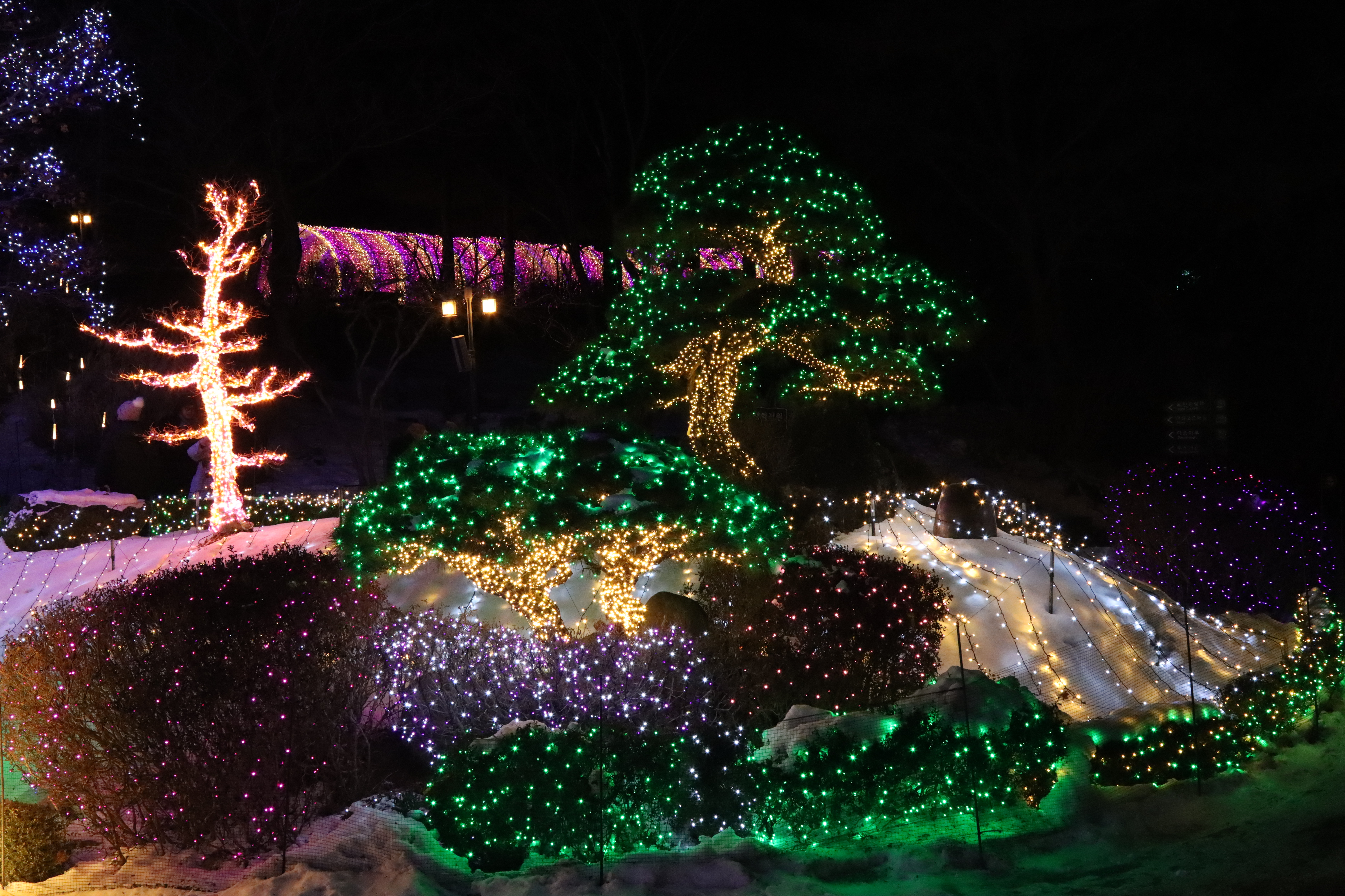 아침고요수목원