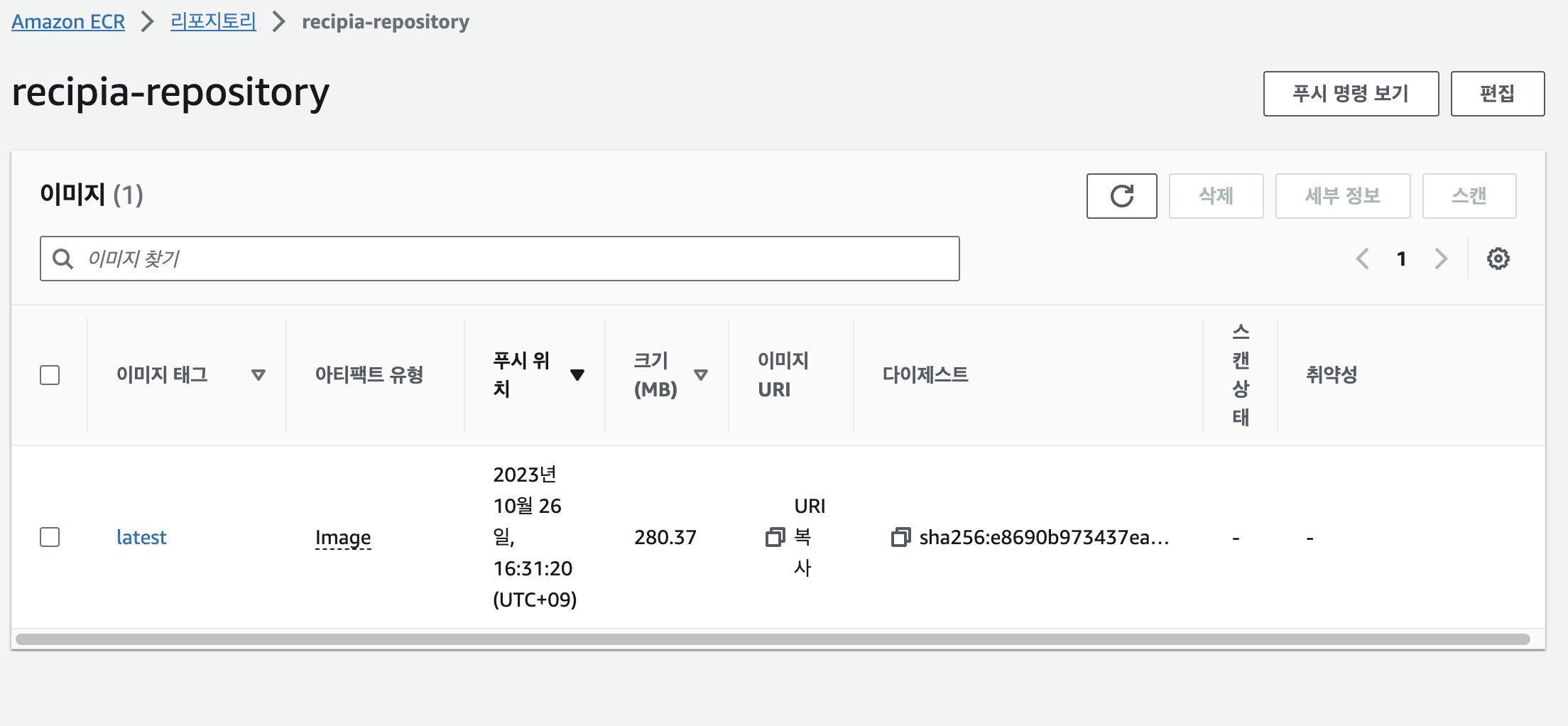 ECR repository