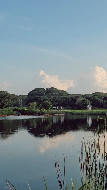 제주-가족-호캉스-숙소-추천-에코랜드-디럭스트윈-레이크뷰