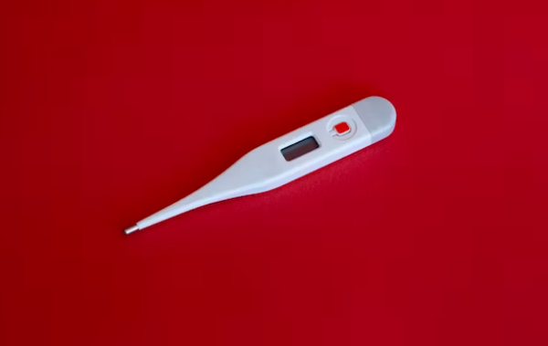 노로바이러스 전염