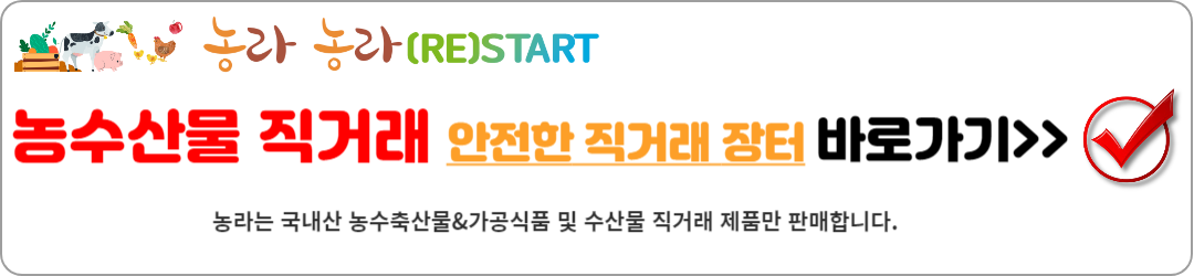 초당옥수수 삶는법? 절대 삶지 마세요!