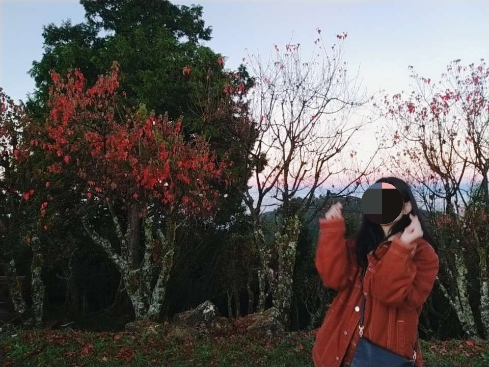 아리산 일출 명소