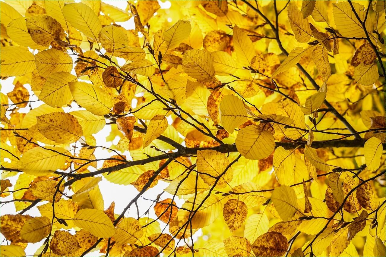 스터디카페 창업비용