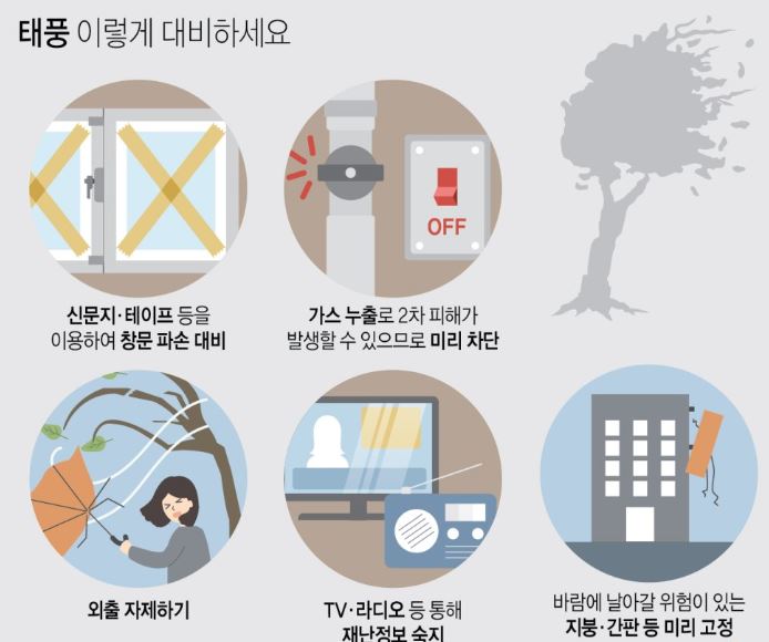 태풍 대비 요령