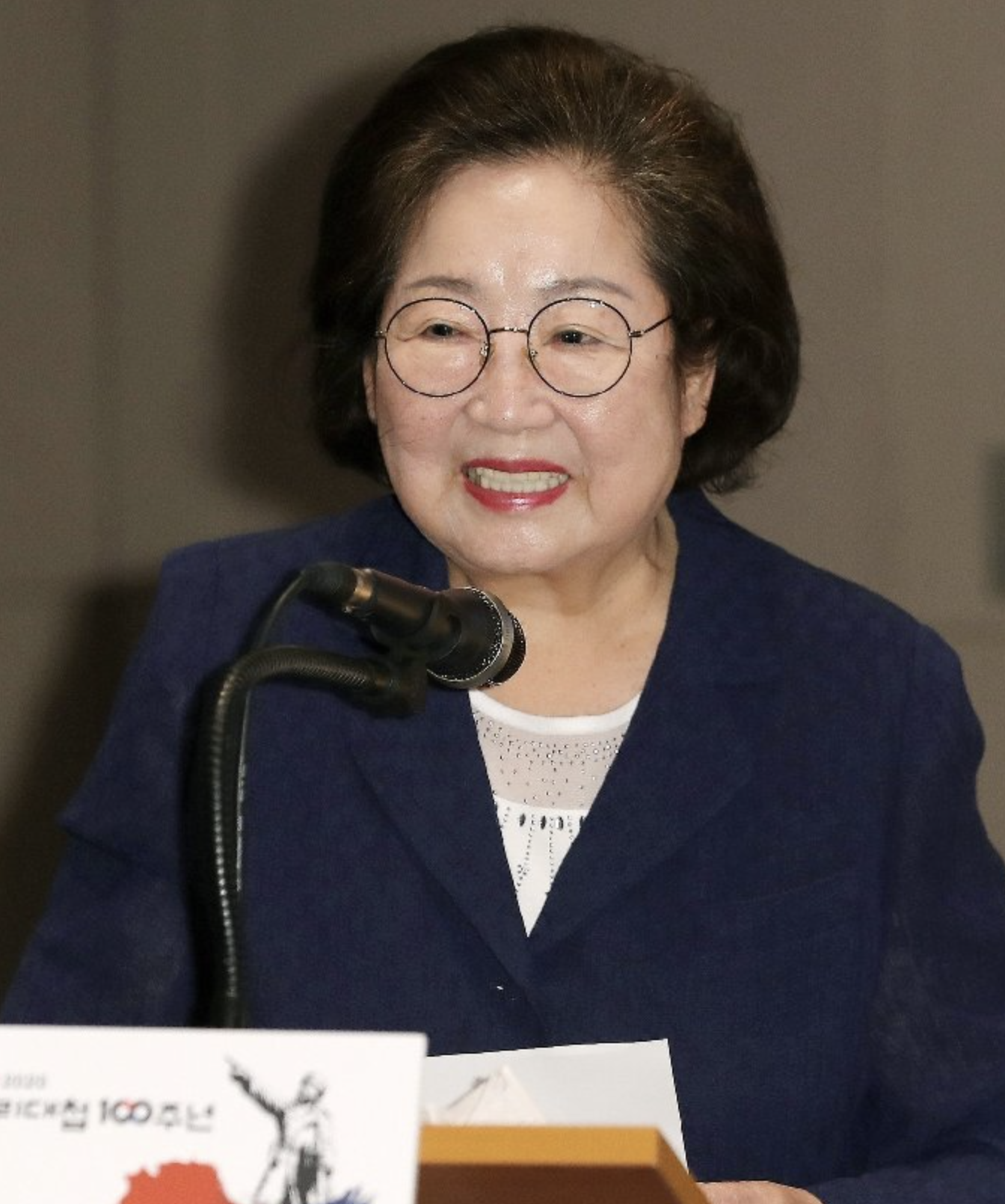 김을동 정치활동