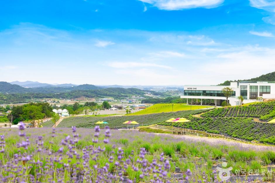 정읍 가볼만한곳