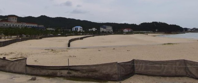 천리포 해수욕장 여성 시신