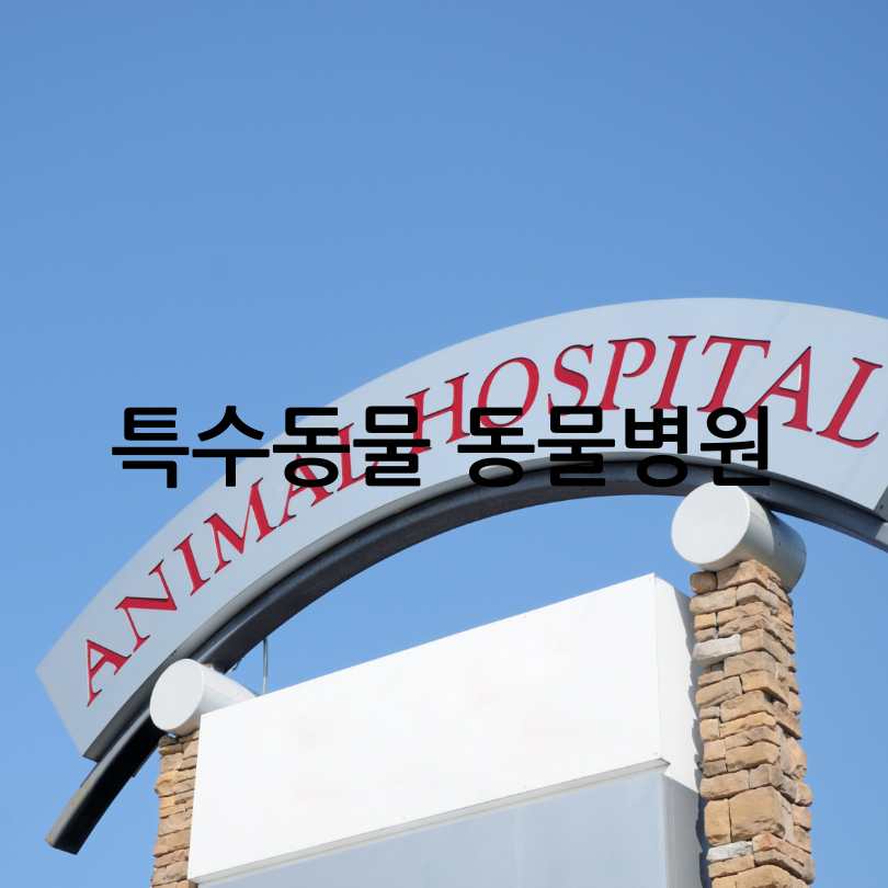 특수동물동물병원
