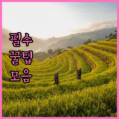 생명보험 심사 합격 조건: 건강부터 ..