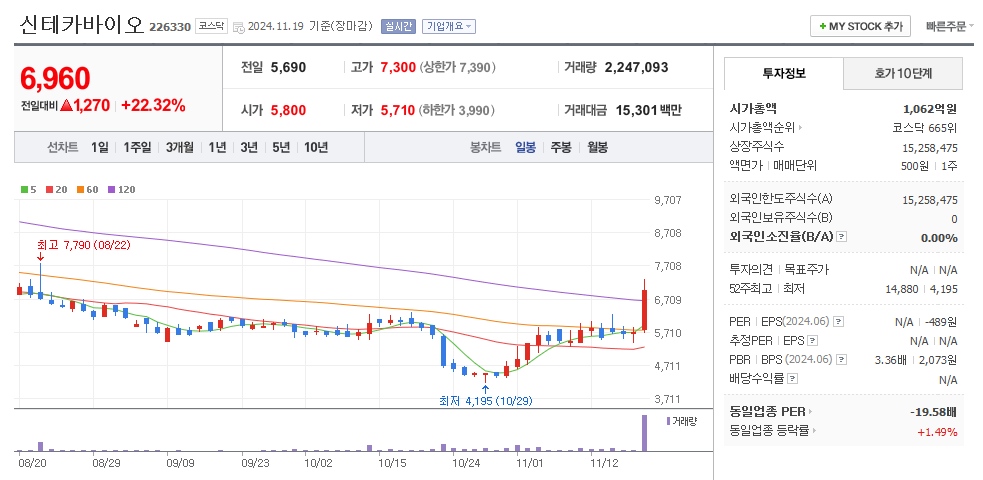 신테카바이오 일봉차트