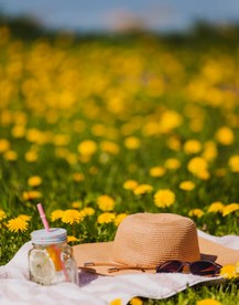 8월 국내여행지 강원