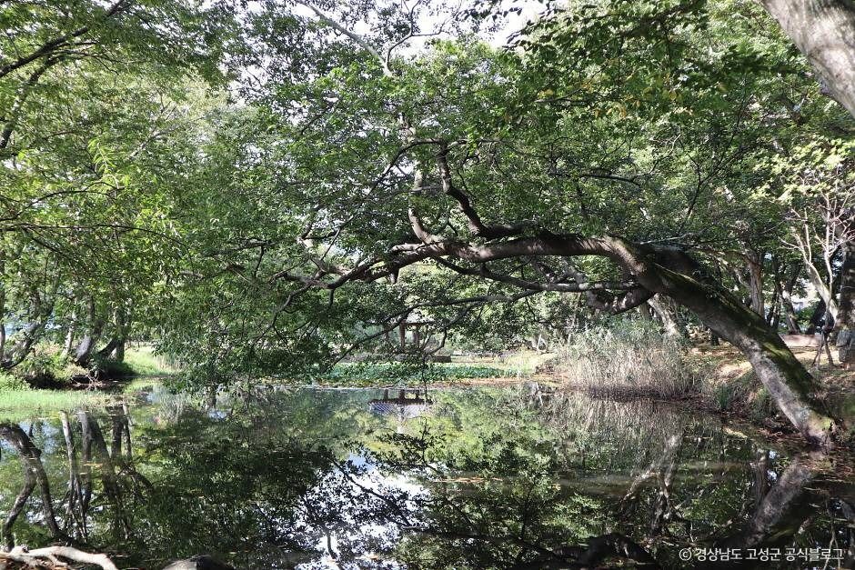 경남 고성 가볼만한곳 베스트10