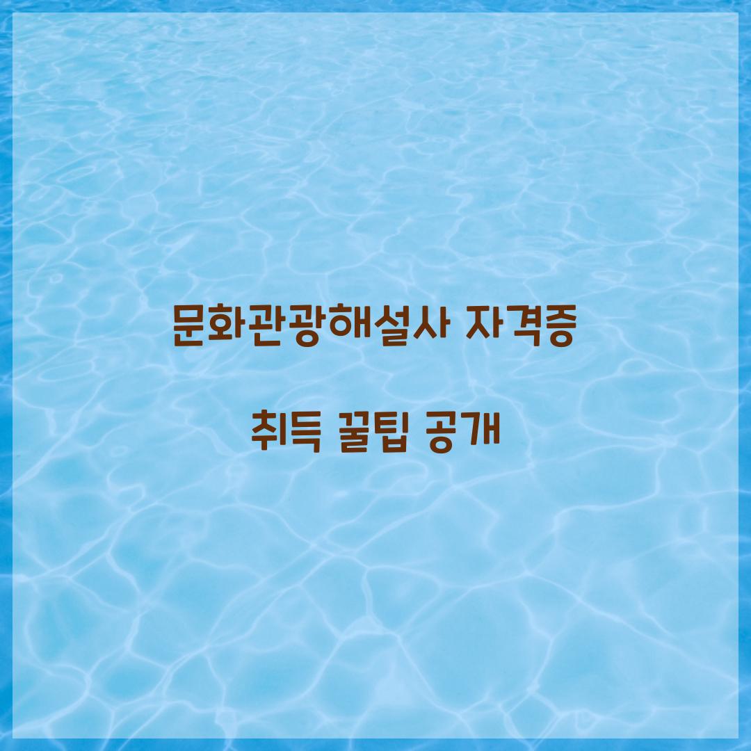 문화관광해설사 자격증