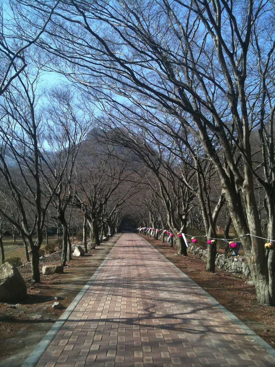 손목닥터