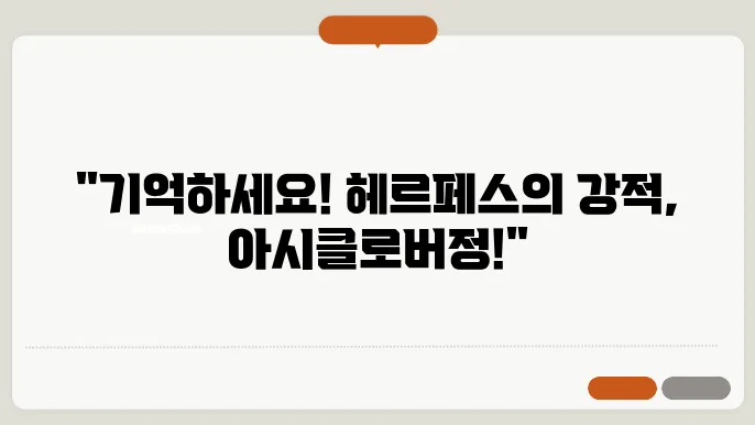 아시클로버정