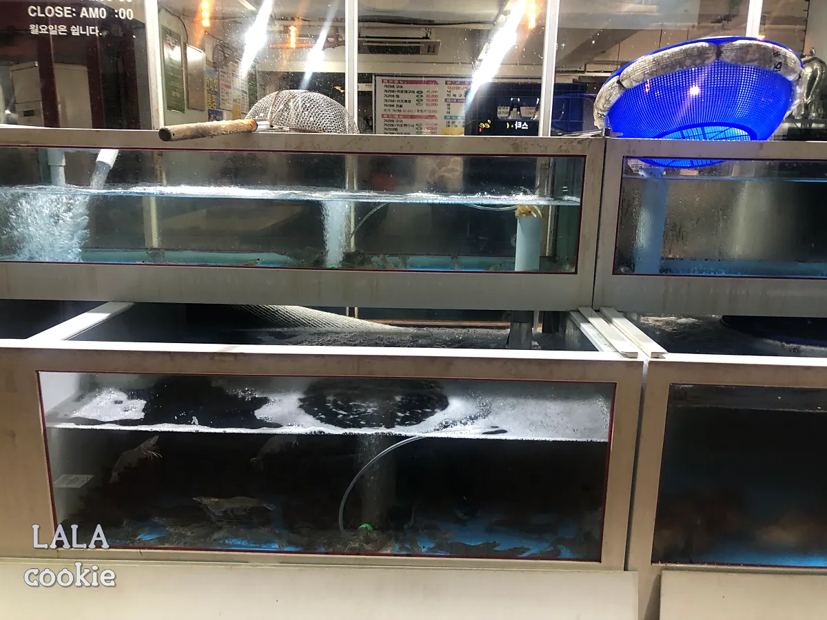 대구-달서구-상인동-조개구이-맛집-아싸가리비-수족관의-해산물