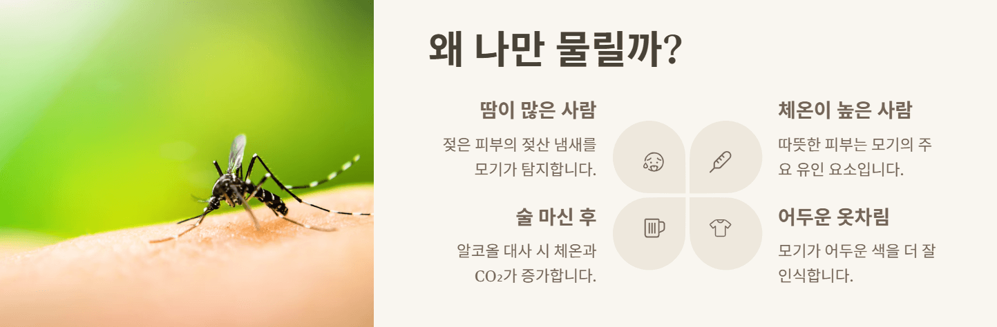 모기 안물리는 법