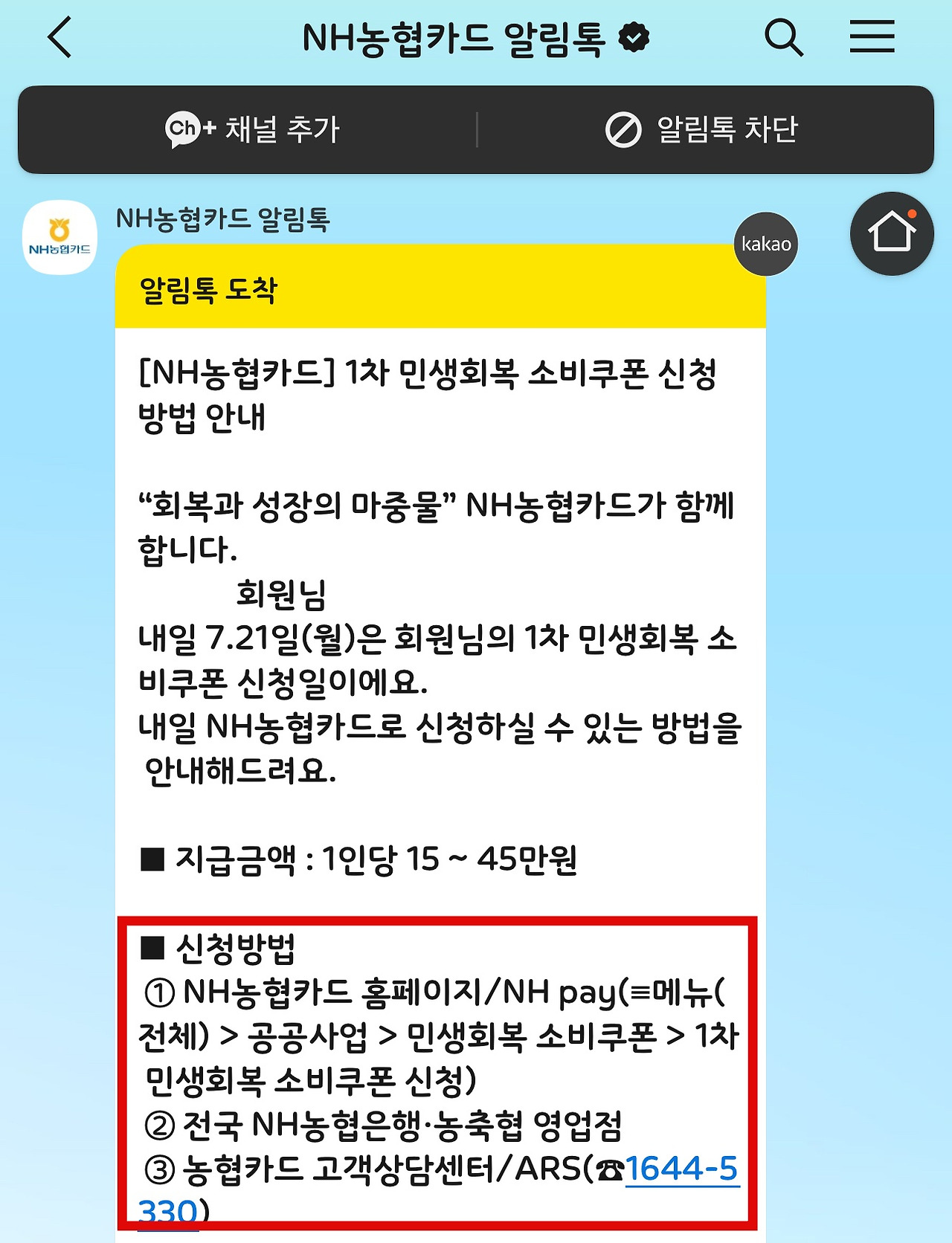 농협 소비쿠폰 사용처 안내