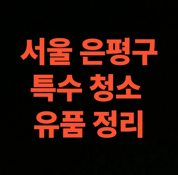 서울 은평구 유품정리 업체 후기 악취냄새 제거 전문