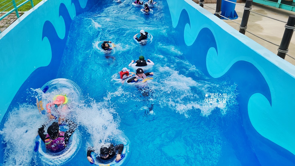 경주 워터파크 4군데 직접 가본 비교후기 블루원, 캘리포니아비치, 뽀로로 아쿠아빌리지, 오션플레이, 준비물 워터슬라이드