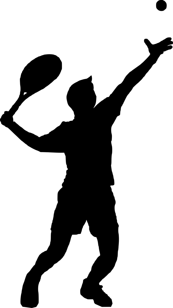 테니스 서브 토스, 메커니즘, 패턴