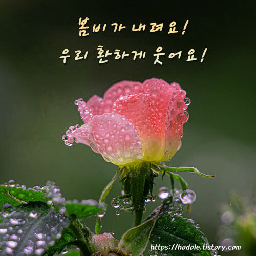 비오는날-이미지