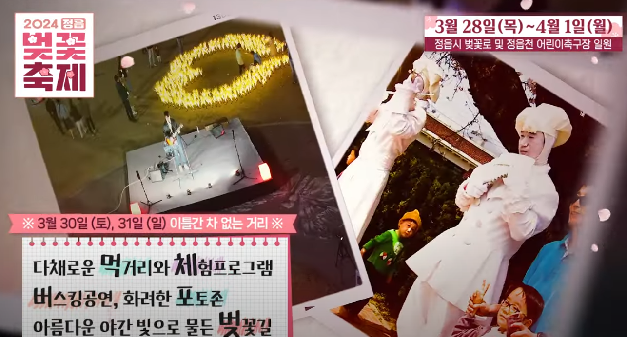 2024 정읍 벚꽃 축제