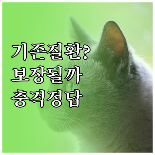 고양이 기존 질환 보험 보장 여부 확..