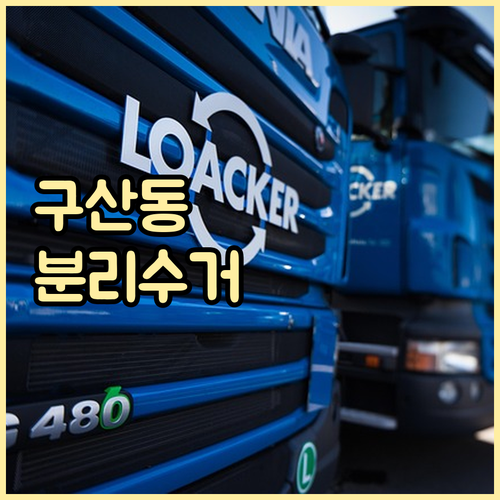 구산동 생활 필수 정보: 폐기물 배출..