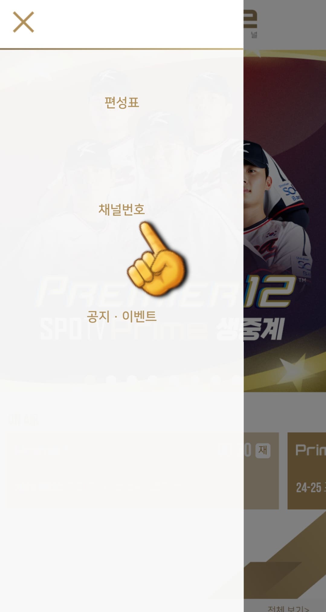 SPOTV-Prime+(플러스)-편성표-및-채널번호-안내-두번째-줄에-있는-채널번호를-클릭합니다.