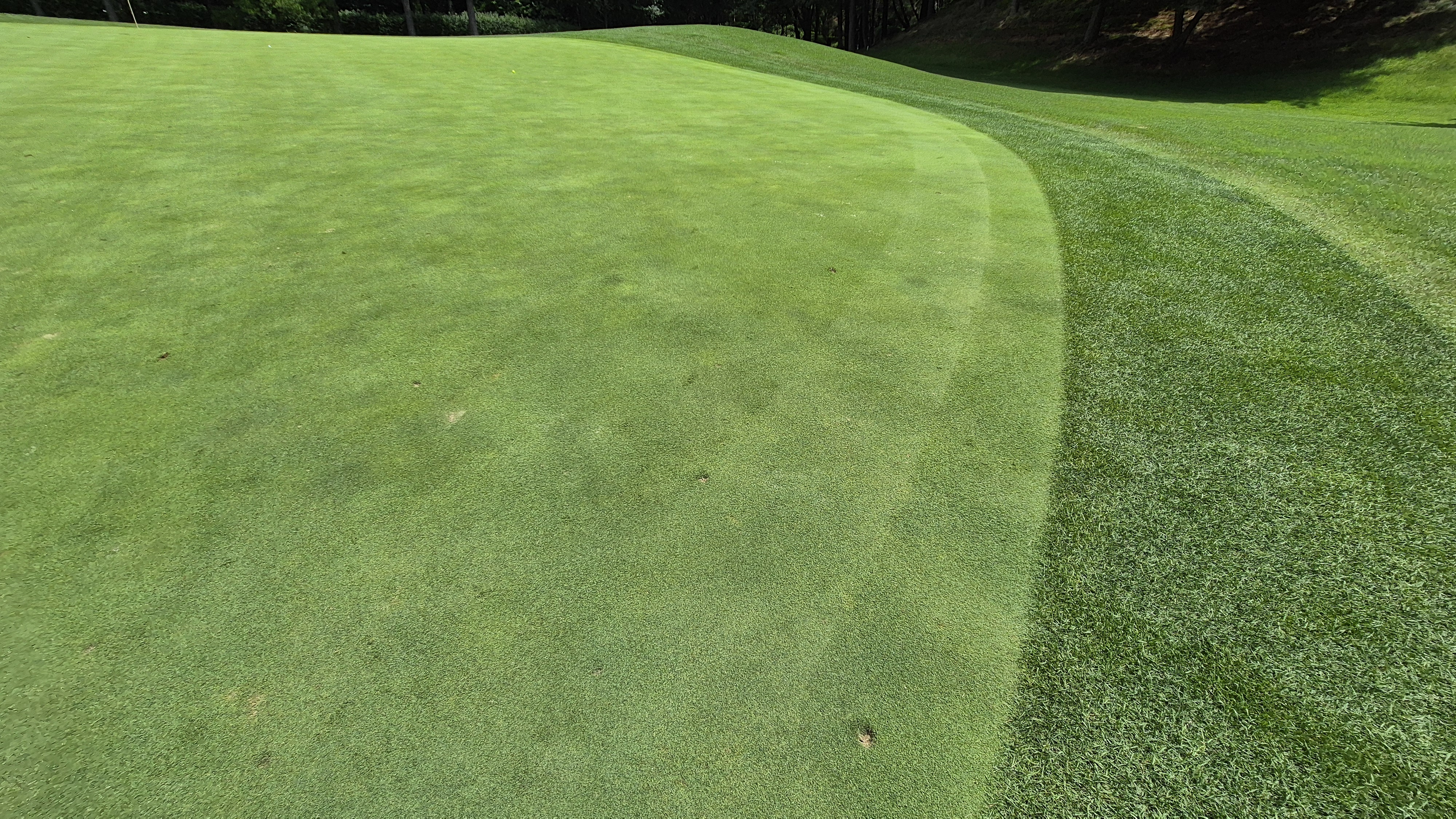 한성cc 오렌지-그린 코스 라운드 후기