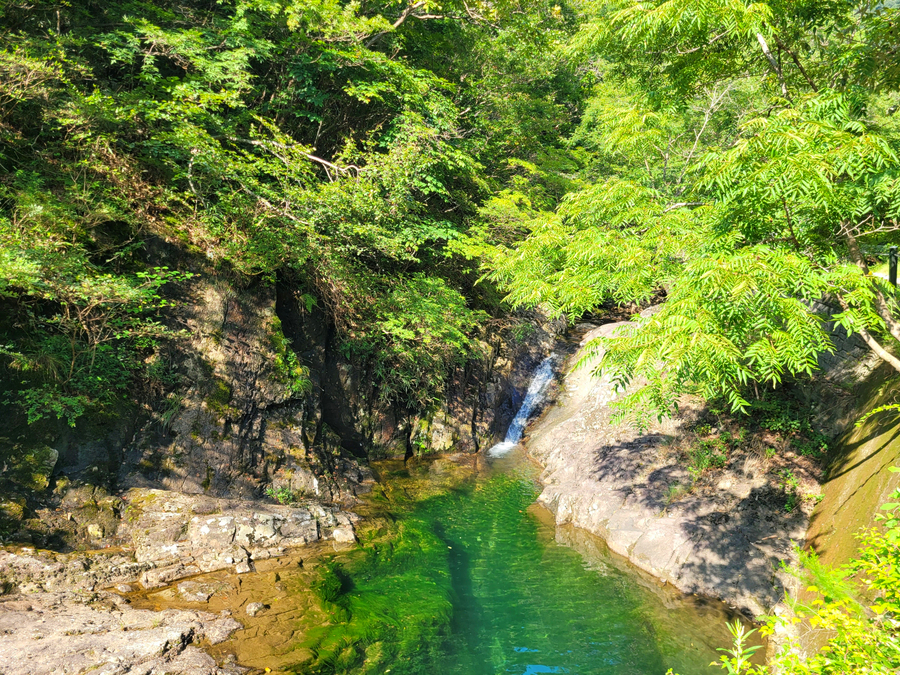 담양 가마골계곡