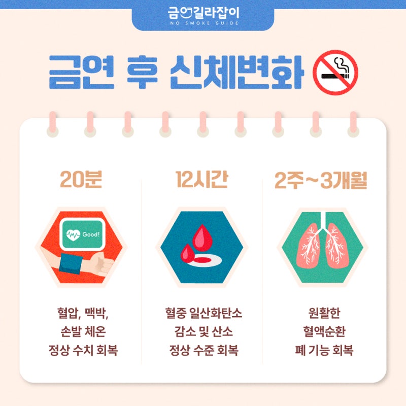 금연 후 신체 변화