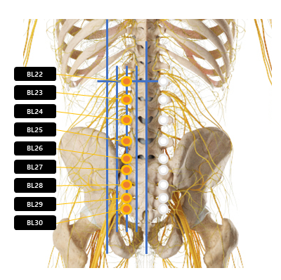허리 주변 혈자리 요약