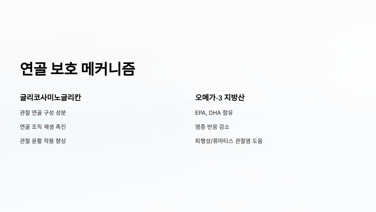 초록입홍합 효능