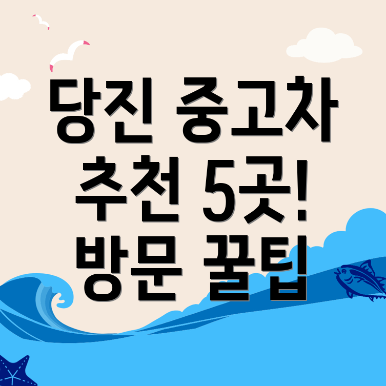 다짐시 중고차 매매단지