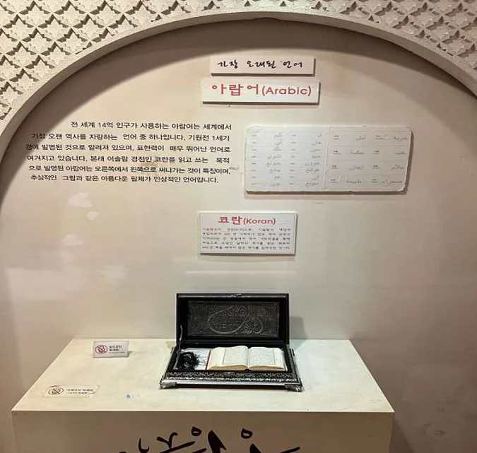 영월 아프리카미술박물관