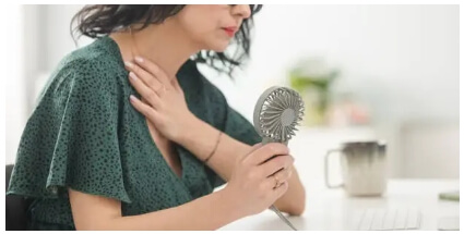 폐경이행기의 증상 원인 치료방법