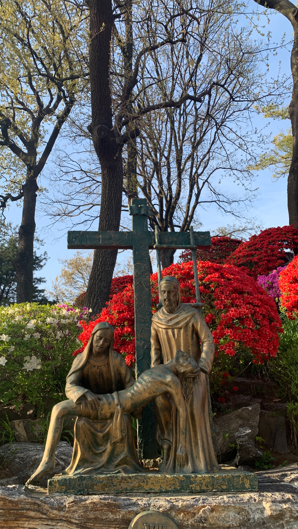 아산 공세리 성당 산책길 3