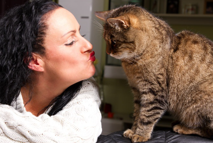 고양이에게 키스하는 여자.