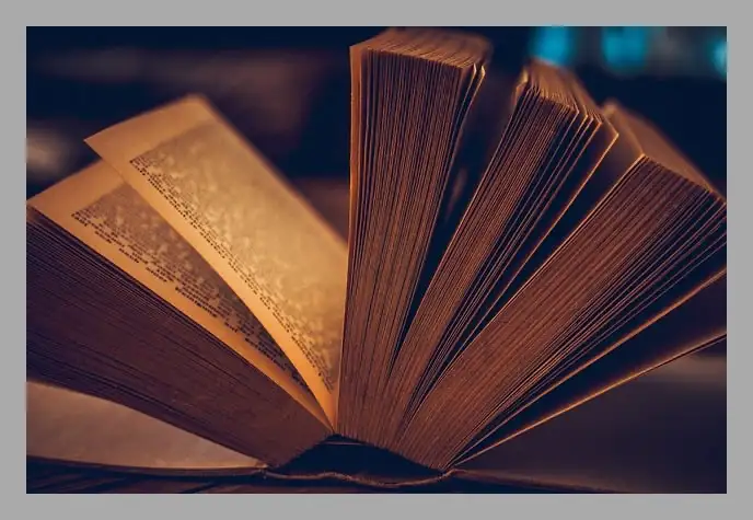 한강 채식주의자